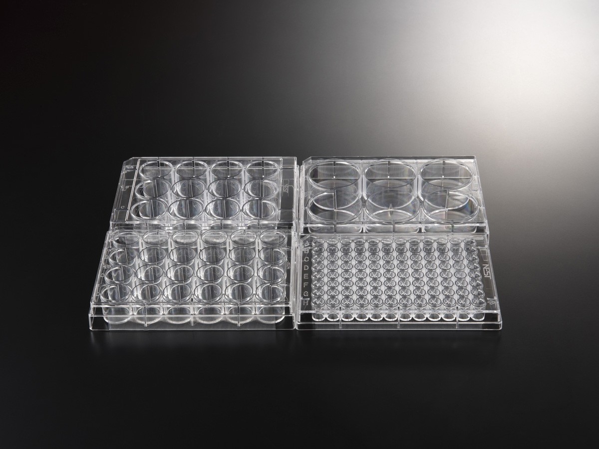 NEST細胞培養プレート?