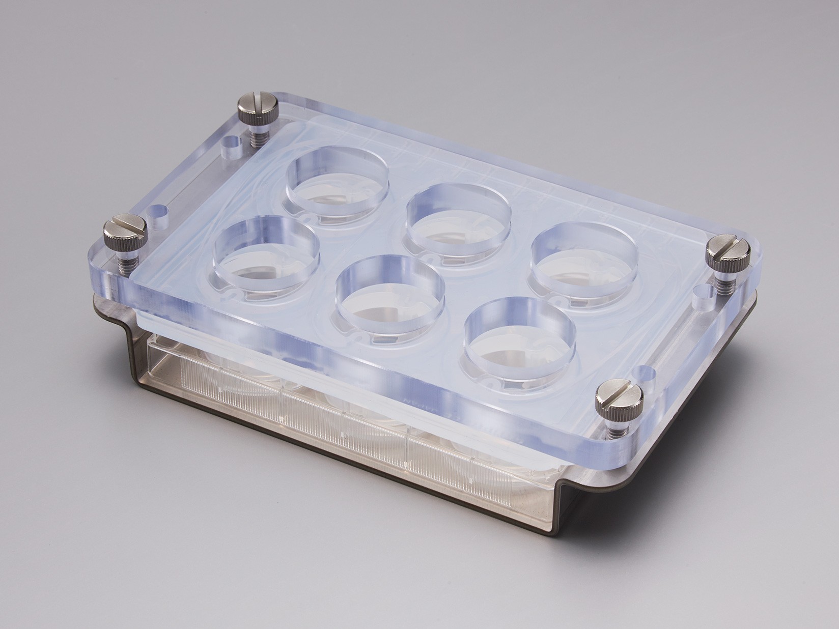 iP-TEC(R)灌流アタッチメント 6ウェルプレート用ホルダー