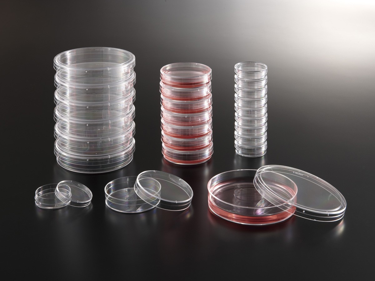 NEST細胞培養用ディッシュ　バラ売り